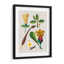 Montaje Floral V - Vision Studio | Cuadro decorativo de Canvas Lab