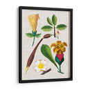 Montaje Floral V - Vision Studio | Cuadro decorativo de Canvas Lab