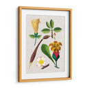 Montaje Floral V - Vision Studio | Cuadro decorativo de Canvas Lab