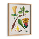 Montaje Floral V - Vision Studio | Cuadro decorativo de Canvas Lab