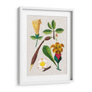 Montaje Floral V - Vision Studio | Cuadro decorativo de Canvas Lab