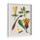 Montaje Floral V - Vision Studio | Cuadro decorativo de Canvas Lab