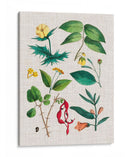 Montaje Floral Vi - Vision Studio | Cuadro decorativo de Canvas Lab