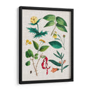 Montaje Floral Vi - Vision Studio | Cuadro decorativo de Canvas Lab