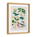 Montaje Floral Vi - Vision Studio | Cuadro decorativo de Canvas Lab