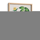 Montaje Floral Vi - Vision Studio | Cuadro decorativo de Canvas Lab