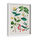 Montaje Floral Vi - Vision Studio | Cuadro decorativo de Canvas Lab