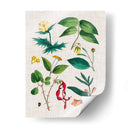 Montaje Floral Vi - Vision Studio | Cuadro decorativo de Canvas Lab