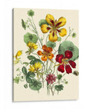 Flores De Verano I | Cuadro decorativo de Canvas Lab