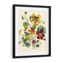 Flores De Verano I | Cuadro decorativo de Canvas Lab