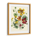 Flores De Verano I | Cuadro decorativo de Canvas Lab