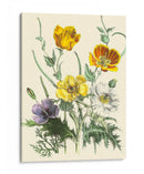 Flores De Verano Ii | Cuadro decorativo de Canvas Lab