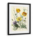 Flores De Verano Ii | Cuadro decorativo de Canvas Lab