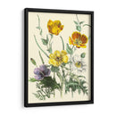 Flores De Verano Ii | Cuadro decorativo de Canvas Lab