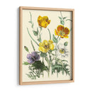 Flores De Verano Ii | Cuadro decorativo de Canvas Lab