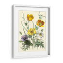 Flores De Verano Ii | Cuadro decorativo de Canvas Lab