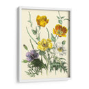 Flores De Verano Ii | Cuadro decorativo de Canvas Lab