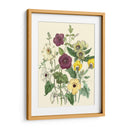 Flores De Verano Iv | Cuadro decorativo de Canvas Lab