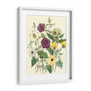 Flores De Verano Iv | Cuadro decorativo de Canvas Lab