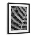 Helecho I - Jim Christensen | Cuadro decorativo de Canvas Lab