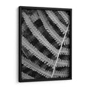 Helecho I - Jim Christensen | Cuadro decorativo de Canvas Lab