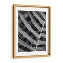 Helecho I - Jim Christensen | Cuadro decorativo de Canvas Lab