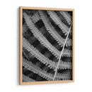 Helecho I - Jim Christensen | Cuadro decorativo de Canvas Lab