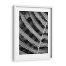 Helecho I - Jim Christensen | Cuadro decorativo de Canvas Lab