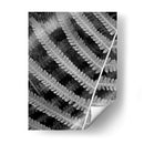 Helecho I - Jim Christensen | Cuadro decorativo de Canvas Lab