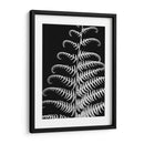 Fern Ii - Jim Christensen | Cuadro decorativo de Canvas Lab