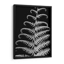 Fern Ii - Jim Christensen | Cuadro decorativo de Canvas Lab