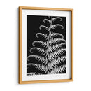 Fern Ii - Jim Christensen | Cuadro decorativo de Canvas Lab