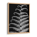 Fern Ii - Jim Christensen | Cuadro decorativo de Canvas Lab