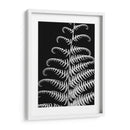 Fern Ii - Jim Christensen | Cuadro decorativo de Canvas Lab