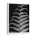 Fern Ii - Jim Christensen | Cuadro decorativo de Canvas Lab