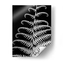 Fern Ii - Jim Christensen | Cuadro decorativo de Canvas Lab