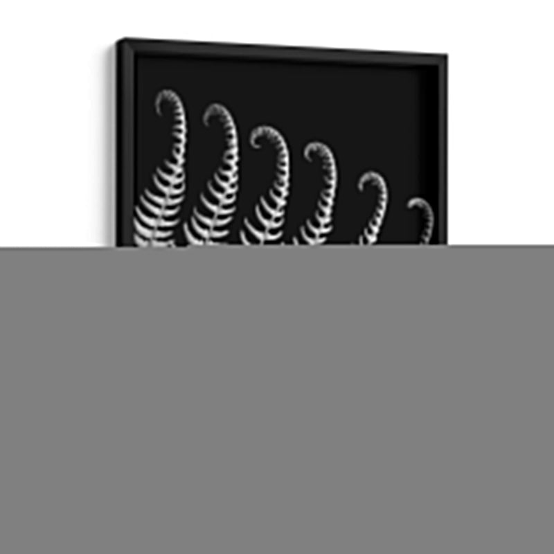 Fern Iii - Jim Christensen | Cuadro decorativo de Canvas Lab