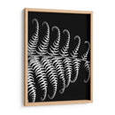 Fern Iii - Jim Christensen | Cuadro decorativo de Canvas Lab