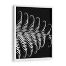 Fern Iii - Jim Christensen | Cuadro decorativo de Canvas Lab