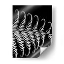 Fern Iii - Jim Christensen | Cuadro decorativo de Canvas Lab