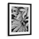 Fern Iv - Jim Christensen | Cuadro decorativo de Canvas Lab