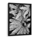 Fern Iv - Jim Christensen | Cuadro decorativo de Canvas Lab