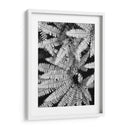 Fern Iv - Jim Christensen | Cuadro decorativo de Canvas Lab