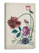 Antigüedad Peonía Ii - Melissa Wang | Cuadro decorativo de Canvas Lab