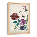 Antigüedad Peonía Ii - Melissa Wang | Cuadro decorativo de Canvas Lab