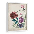 Antigüedad Peonía Ii - Melissa Wang | Cuadro decorativo de Canvas Lab