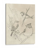Songbird Vintage Boceto I - June Erica Vess | Cuadro decorativo de Canvas Lab