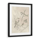 Songbird Vintage Boceto I - June Erica Vess | Cuadro decorativo de Canvas Lab