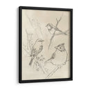 Songbird Vintage Boceto I - June Erica Vess | Cuadro decorativo de Canvas Lab