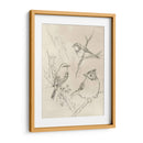 Songbird Vintage Boceto I - June Erica Vess | Cuadro decorativo de Canvas Lab
